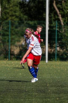 Bild 132 - Frauen HSV - cJun Eintracht Norderstedt : Ergebnis: 1:16